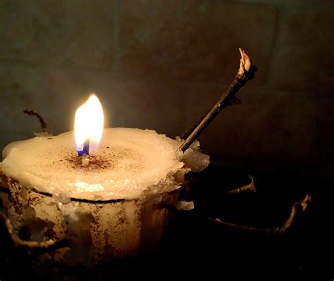 Witchgand candle holder